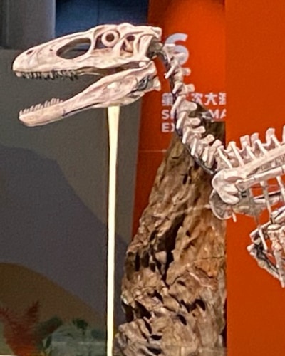 Project preview image